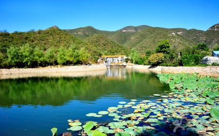 静之湖度假酒店/森林公园平日吃住玩套票