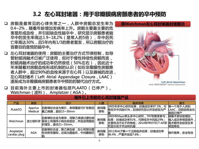 封堵器市场需求驱动因素:先心病和左心耳(2021年).pdf 7页