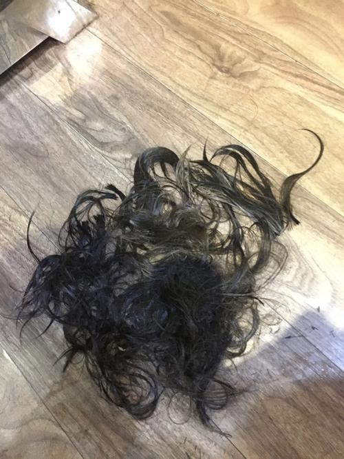 剪一地不被爱的分岔