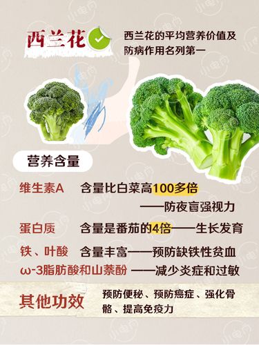 小电筒营养粉说说餐桌上的冠军蔬菜!
