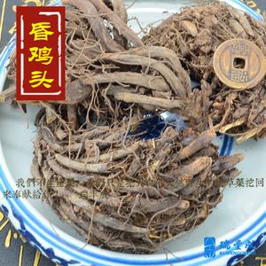 鸡公头\铁狼鸡鸡头风尾\大叶狼衣\小鸡娃菜 汇草集中药馆 &