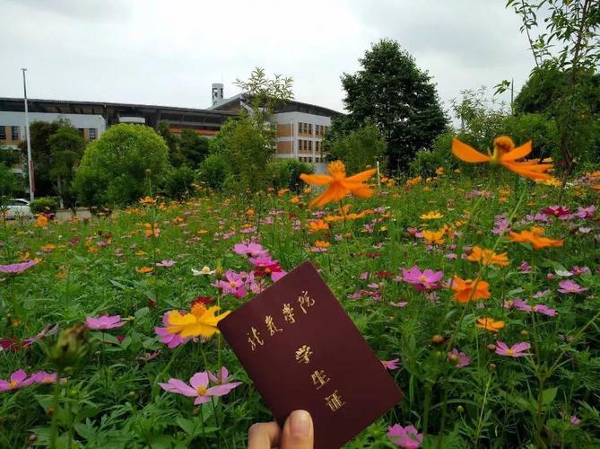 学生证 | 带你去各个角落