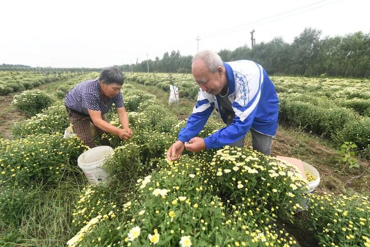 龙虎庄乡