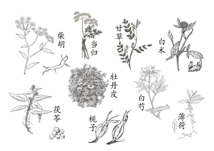 简笔画 手绘 线稿 1265_894