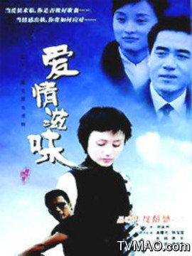 爱情滋味(电视剧)