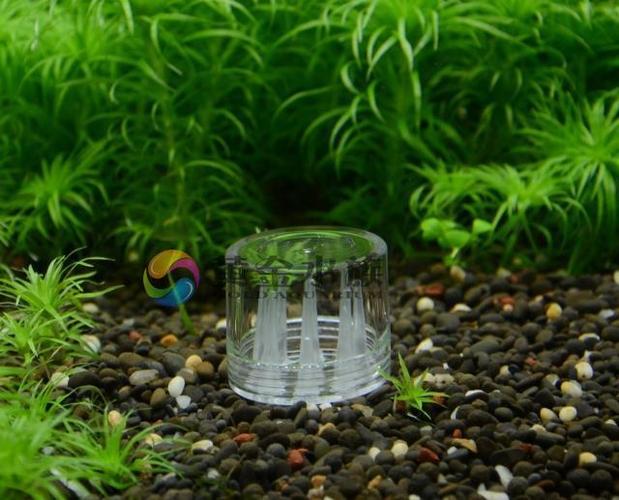 黄金水族*水蛭涡蜗虫蛋白虫诱捕器捕蜗器 捕虫器 六/九孔捉虫器