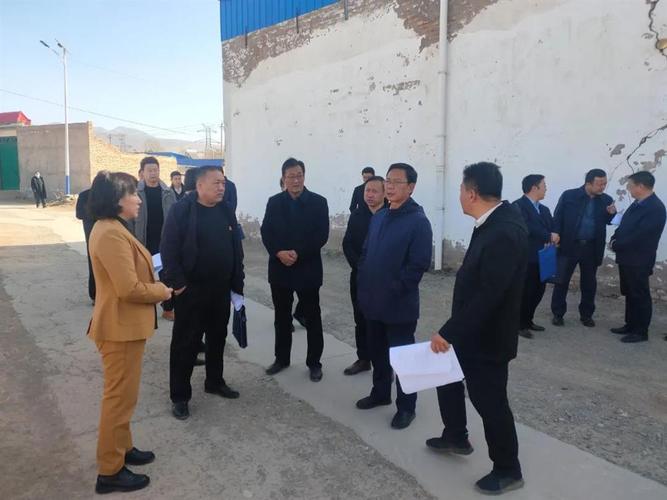 县委书记张爱如调研乡村振兴示范村建设工作