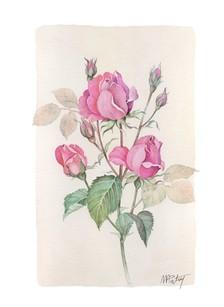 插画手绘 水粉画 花 植物 手机壁纸