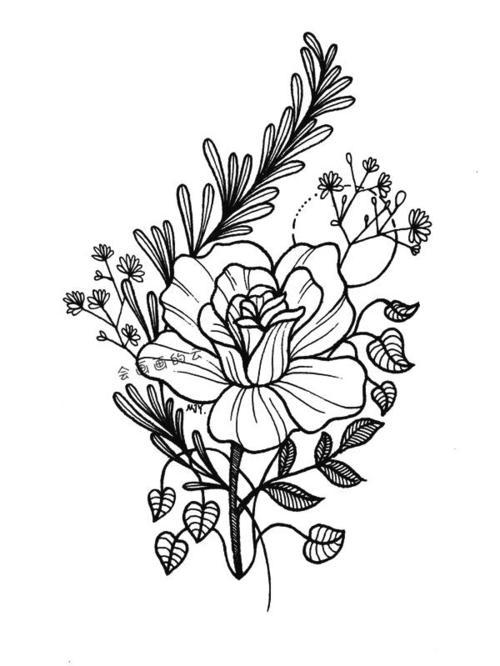 植物要有大小关系 空间黑白灰关系处理要到位 这样一幅针管笔花卉