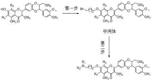 本专利技术涉及水飞蓟宾的结构衍生物,特别是涉及在2,3-脱氢水飞蓟宾