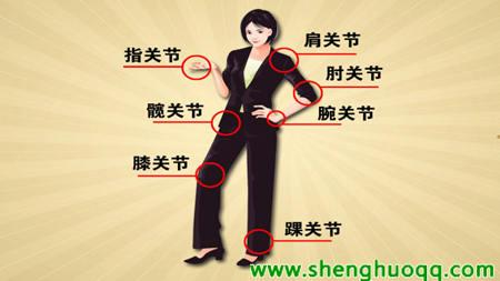 身体上各关节分布图