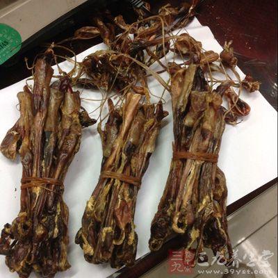 海狗鞭的功效与作用 (9)