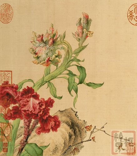 郎世宁的花鸟图册有哪些花,要官方答案~芍药神马的就别来了