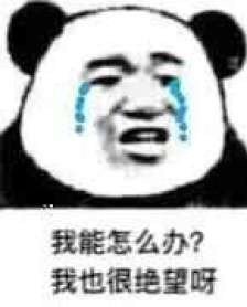 我能怎么办我也很绝望