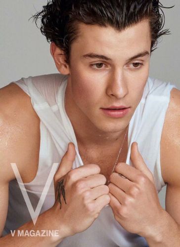 萌德shawn mendes和卡妹camila cabello一同登上《v》杂志最新一期