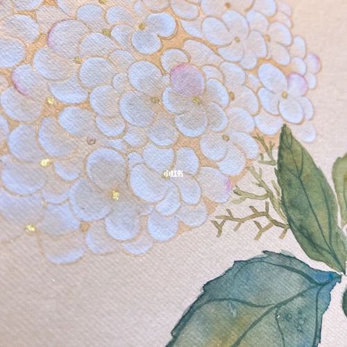 绣球花|国画挑战2_绣球花_国画_绘画_南京自由行热门攻略_水彩颜料