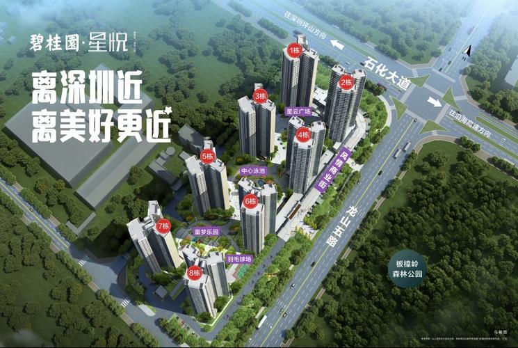 碧桂园星悦