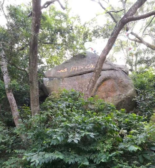 都说电城人喜欢早晚登山,既锻炼身体又能欣赏美景,所以每天登山的人
