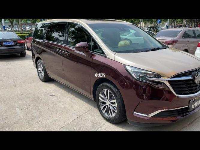 gl8es 双拼超亮金属黑玫瑰_zw汽车俱乐部(膜世界)自由