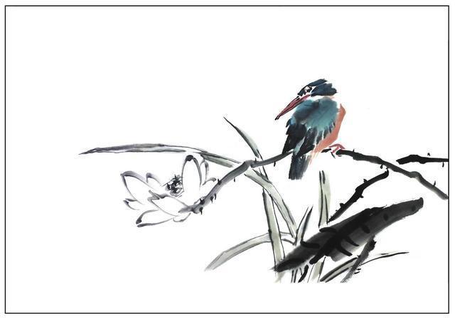 花鸟画不会画禽鸟?教你3种禽鸟画法,临摹学习国画的好素材