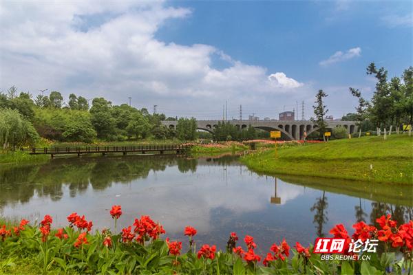 来松雅湖湿地公园,随便一拍都是油画般的艺术感
