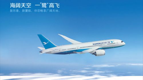 盘点航空广告传播形式