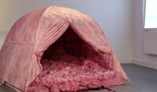 原创世界上最恶心的帐篷,奖励7万都没人住?网友:看了想吐