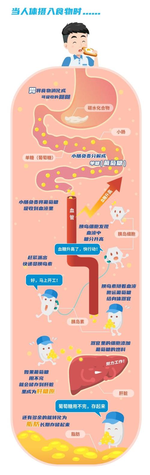 一图读懂糖尿病并发症血糖不可怕并发症最可怕