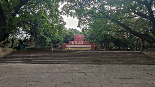 绵阳市烈士陵园建设者回忆建设过往大年三十都在南山栽树