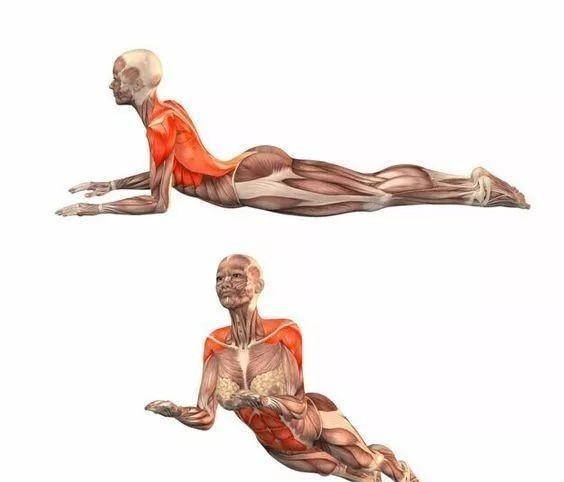 每周一式:人面狮身式