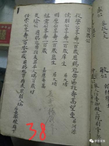 江西吉安廖氏家谱【手抄】