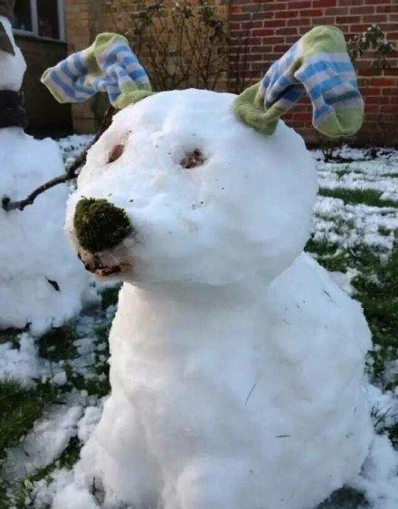 北方人把雪玩成表情包 实在是太有才了
