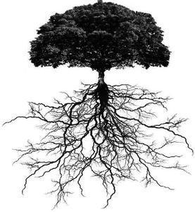 大树根的简笔画