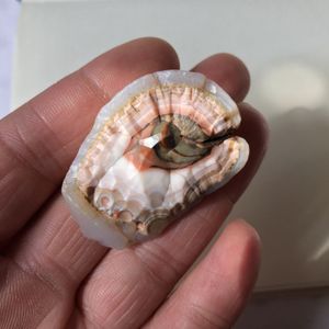 天然奇石戈壁石内蒙古阿拉善银根地表俏色玛瑙天眼石眼睛石包邮