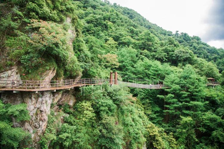 15.8元享新昌班竹玻璃栈道,还能免费打卡7d天空之镜!小伙伴快来打卡!