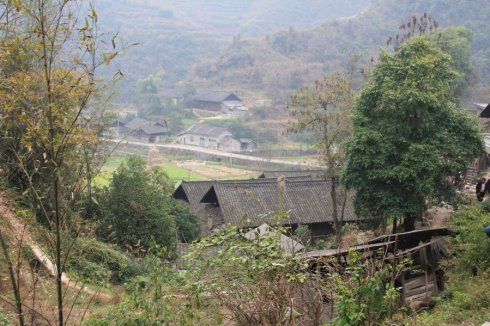 行走湘西之林农村