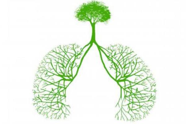 中的肺结核患者,当自己或周围的人出现咳嗽咳痰两周以上或痰中带血时