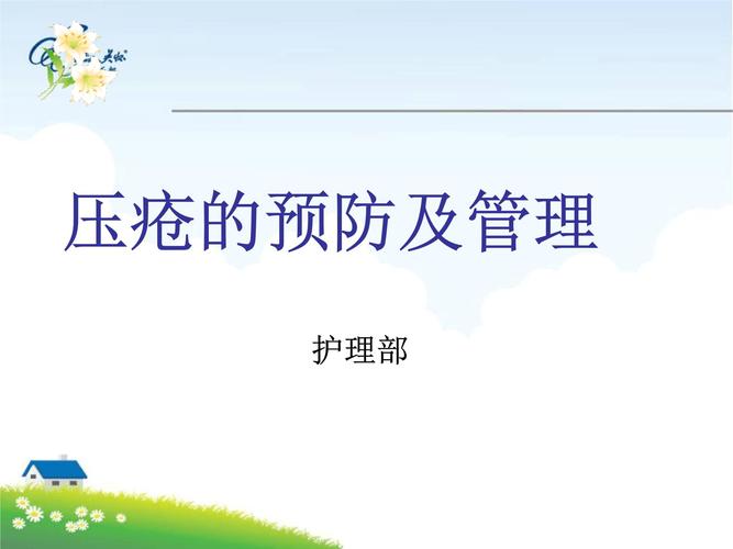 2019年压疮的预防和管理.ppt 44页