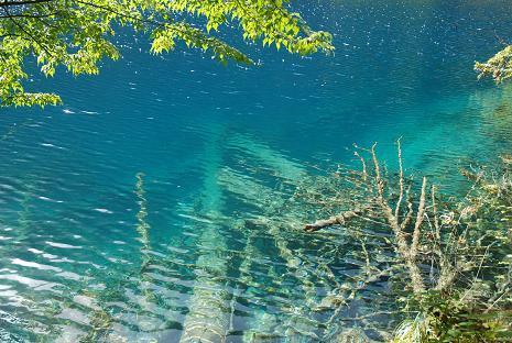 水,是九寨沟的灵魂,是上帝赋予人间的天堂.