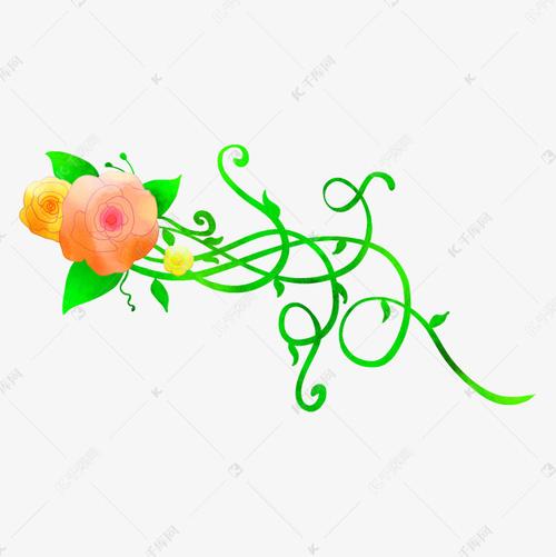 春天缠绕的花藤插画
