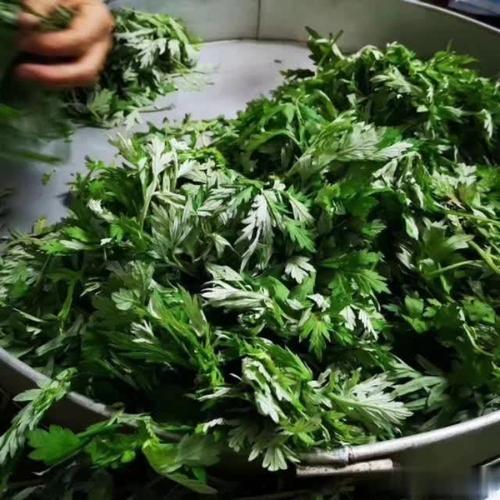 客家艾粄吃出浓情与乡愁,你家乡艾粄的做法跟我们一样