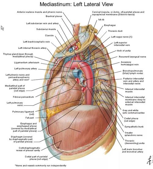 6种常见纵隔肿瘤的影像解读与鉴别要点,一文击破!