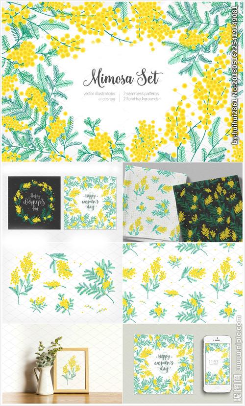 含羞草金合欢水彩画图片