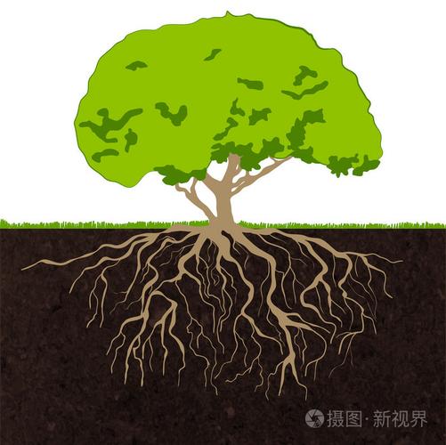 树的根草绘