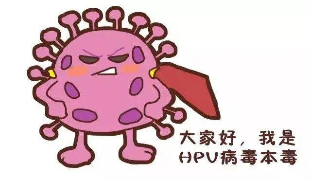 我感染了hpv病毒但洁身自好是不是ta出轨了