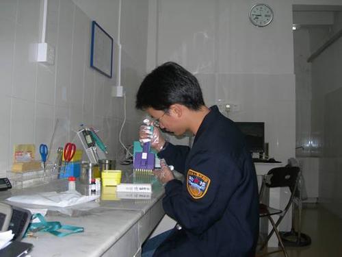 沿河镇