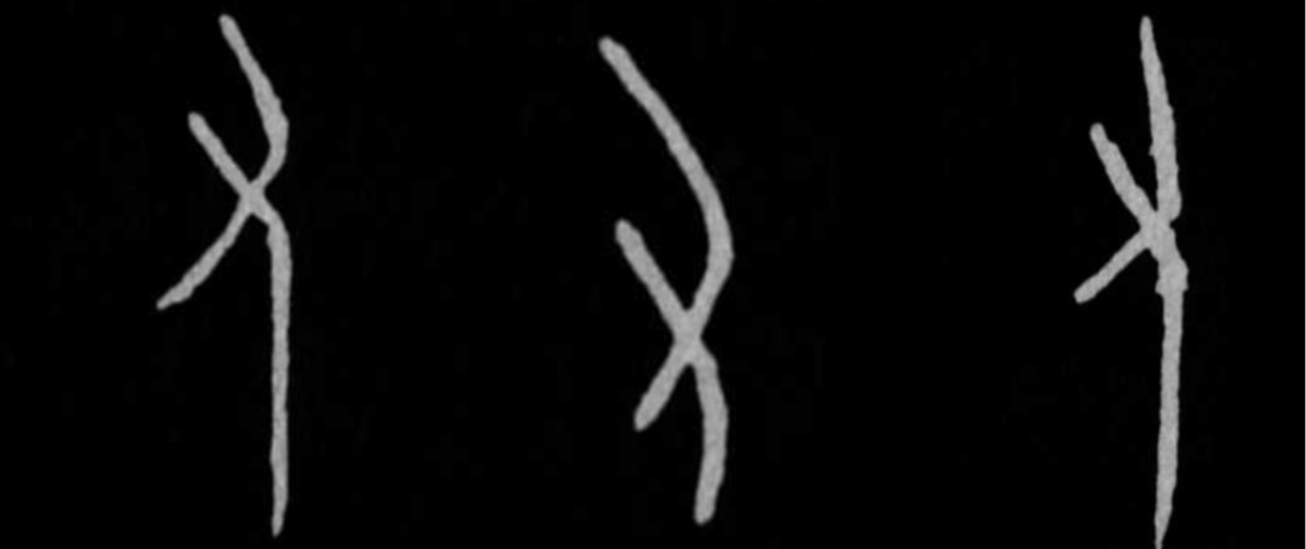 二省其一   化繁为简 "圣"字上方"又"字就位 许多简体字是从甲骨文