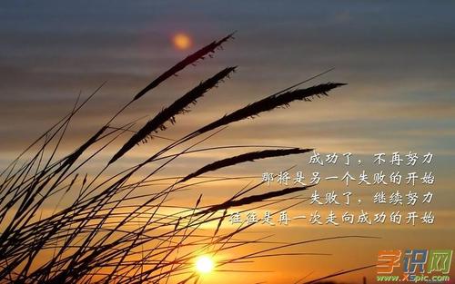 人处在低谷的励志格言 遇到低谷时的励志语录