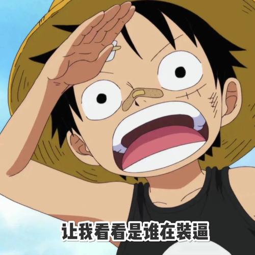 表情包 海贼王特辑