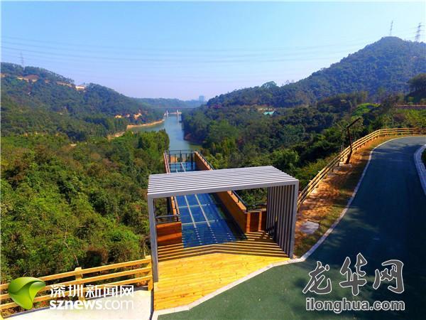 环城绿道:大水坑段,羊台山段已开放 从福龙路沿着入口走向深处,一条